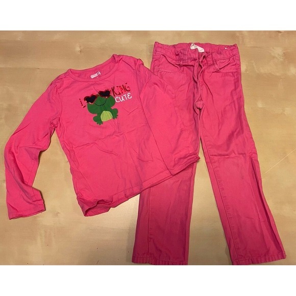 Children's Place Girls Size 4 Cute Frog Outfit Shirt And Pink Pants Spring - Picture 1 of 4